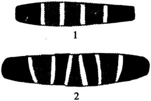 图4-63 藏族佩戴的蚀花玛瑙珠（1/3）