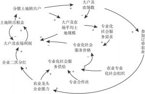 图3-8 龙头企业能力与专业化服务整合循环