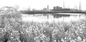 鲁南煤化工园区与湿地公园融为一体