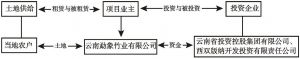 图5-6 “熊猫标准”下的云南西双版纳竹林造林项目组织模式