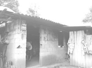 图11 村寨低保护住宅