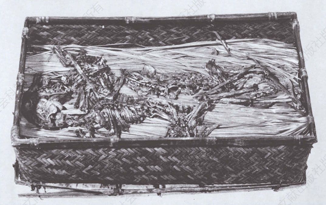图1-8 马王堆汉墓出土盛有野兔骨的竹笥