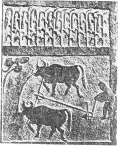 图3 汉代牛耕画像石*