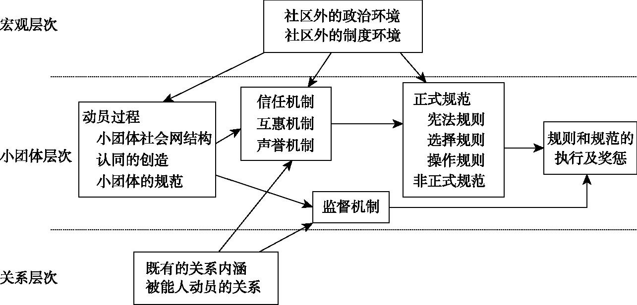 图7-1 一个自组织治理运作机制/过程的理论架构