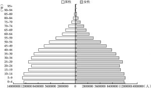图1-1 印尼人口结构金字塔