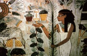 纳黑特陵墓中描绘宴会场景的壁画。纳黑特是图特摩斯四世统治时期的一位古埃及天文学家和司书官。