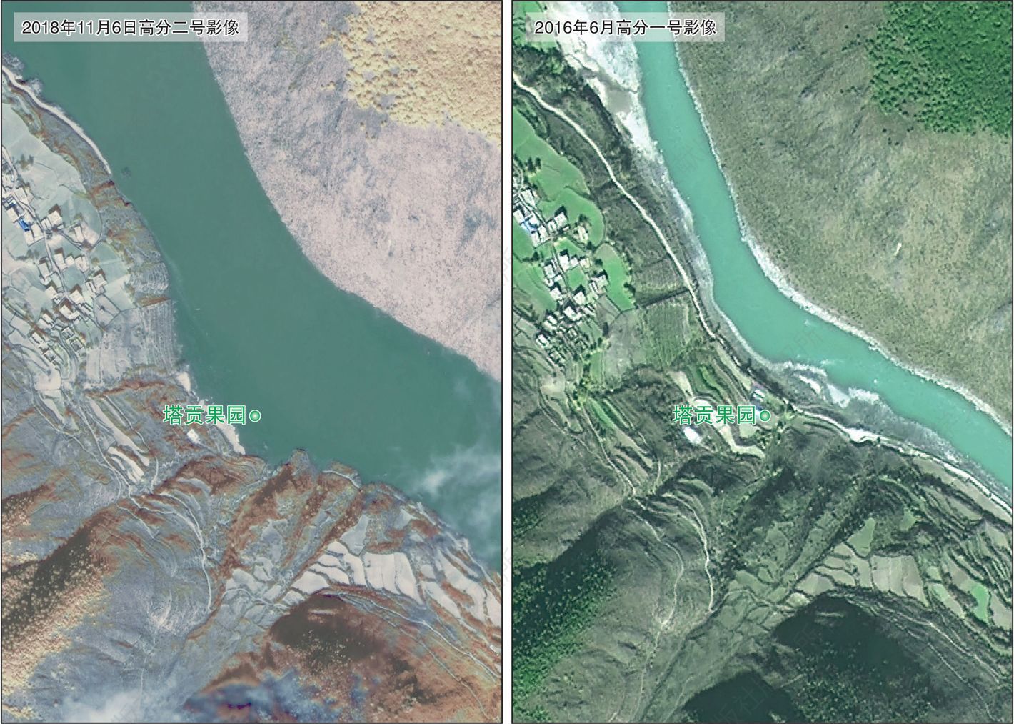 图25 塔贡果园灾后与灾前遥感影像对比
