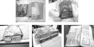 国図所蔵の270余部、3500余冊の古書の中で約一割、すなわち300余冊に深刻な紙の腐食、ワタ化、粘着、装丁の解体などの問題がある。破損が深刻なため救急型の修復が必要
