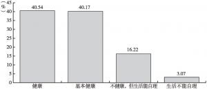 图6 2015年河北省老年人口健康状况