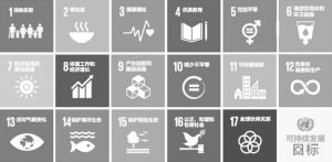 图6 联合国可持续发展目标（SDGs）