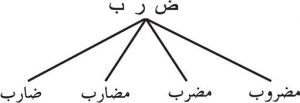 图2 阿拉伯语派生词示例