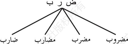 图2 阿拉伯语派生词示例
