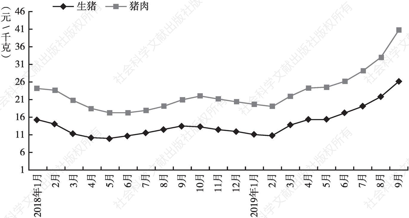 图1 2018年1月至2019年9月河北省生猪和猪肉集市价格