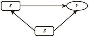 图1 内生性问题的具象化逻辑结构