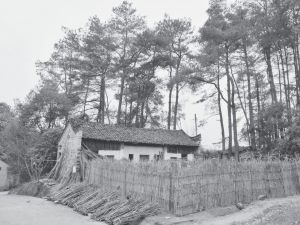 图3-2 广福村贫困户的房屋