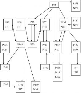 图3-3 造言原始网络结构