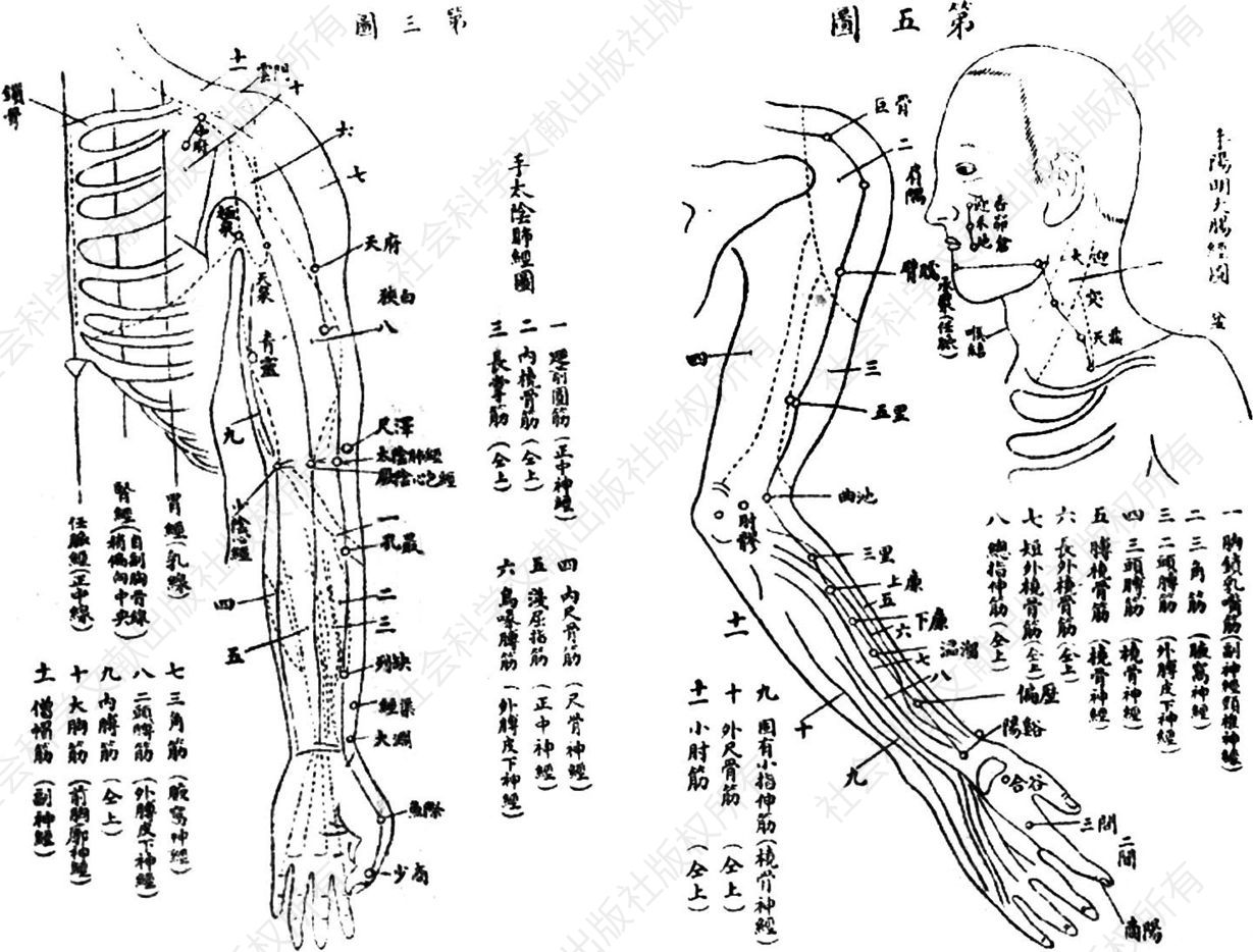 图1 《最新实习西法针灸》中的手太阴肺经图和手阳明大肠经图