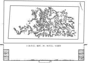 图11 山东临淄大武乡窝托村南西汉齐王墓陪葬K2平面、剖面图