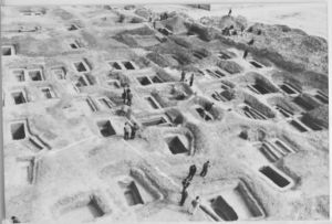 图2 上地汉墓群考古工地