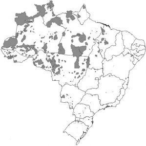 图2 巴西全国原住民土地分布