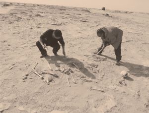 地表发现的晚期墓葬