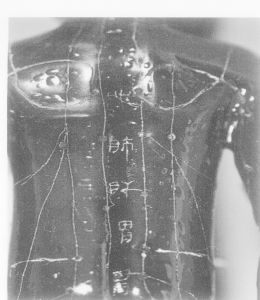 图十 人体经穴俑背部局部图。