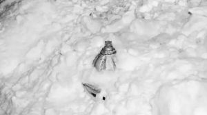 图24-2 美国波士顿大雪后消防栓被埋场景