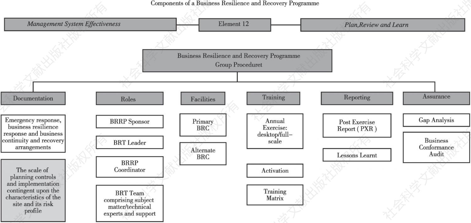 Figure 1 Components of a Business Resilience and Recovery Programme（Source：Rio Tinto Group BRT）