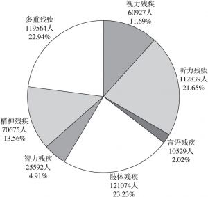 图1 广州市各类残疾人占比分析
