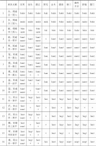表6 相关辞书b/m、l/n、g/ŋ 对立比较