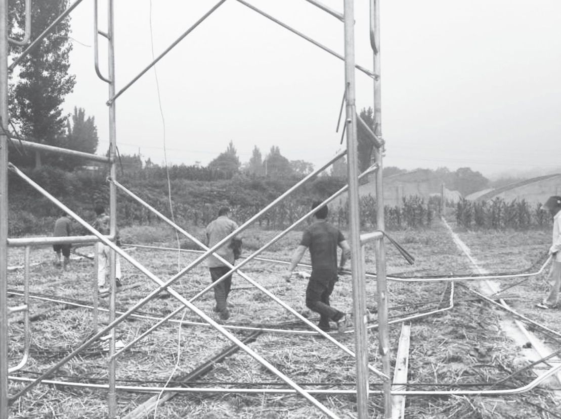 图2-4 受过搭建技能培训的村民正在修建草莓大棚