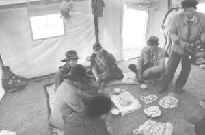 图1 夏季牧场村民在帐篷内聚会