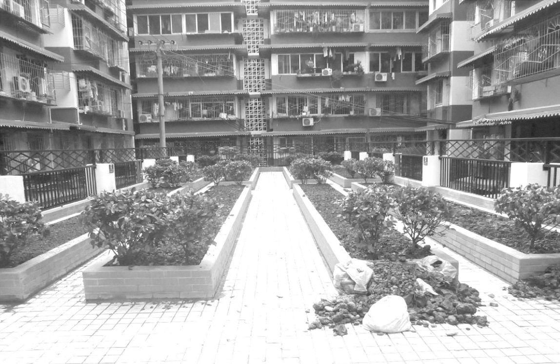 图2 农耕小组成立前的农耕园地