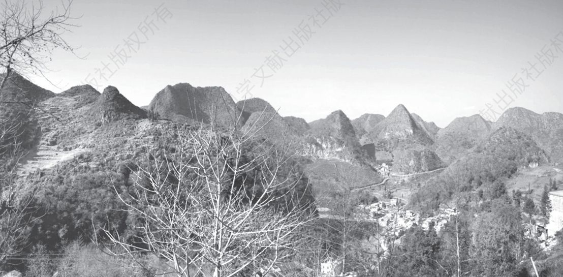 图1-1 石山地区的喀斯特峰丛