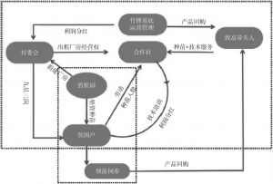 图8 江西兴国竹狸养殖合作模式