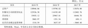 表10 2017～2019年北京君正基本财务数据情况