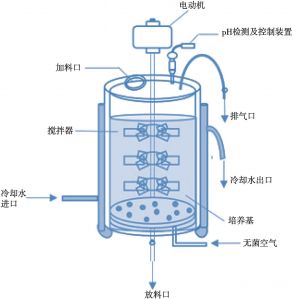 图4-7 发酵罐结构