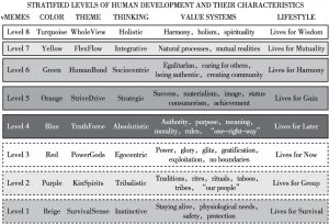 图1 人类发展的价值体系与层级水平