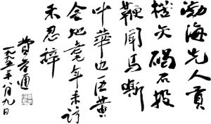 图2 费孝通于1995年所写的《渤海行》手迹，图中右起第四竖行第二字为“华”字