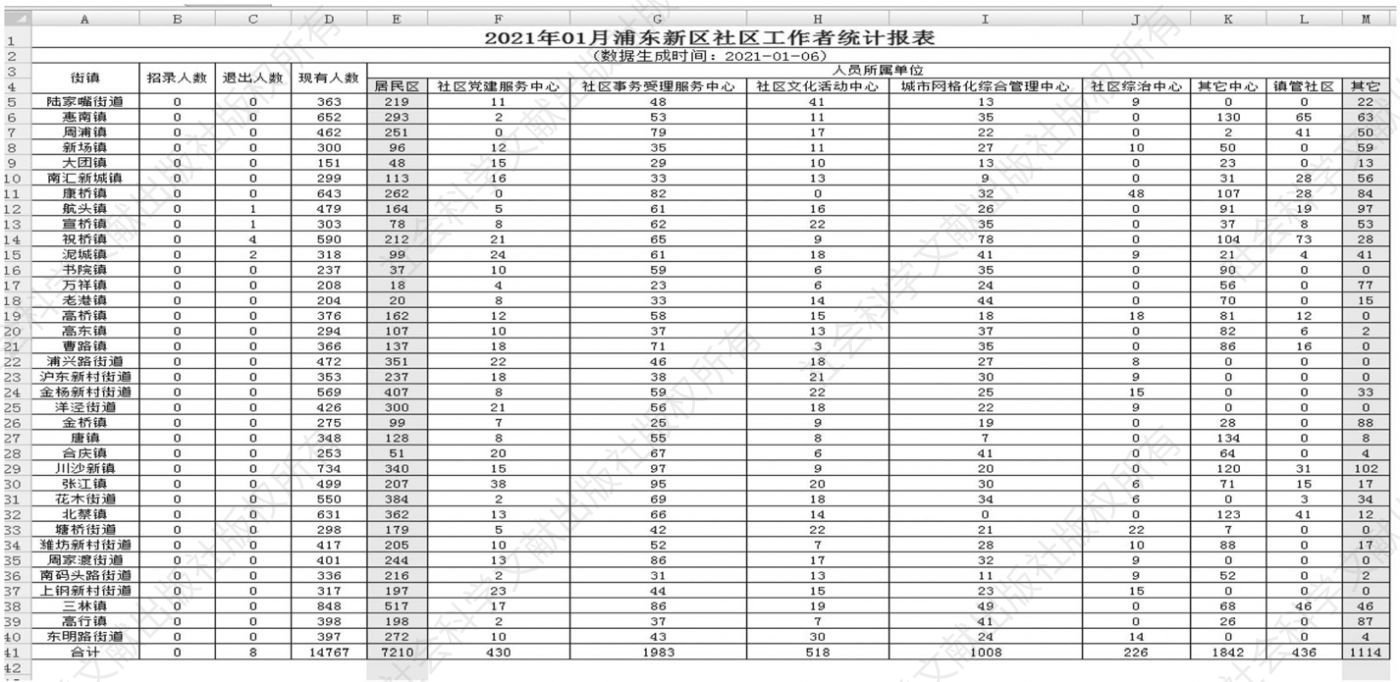 图1 浦东新区社区工作者统计情况