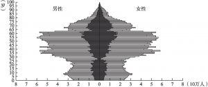 图1 2025年浙江省人口年龄结构金字塔图（中方案）