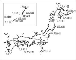 樱花前线（1961年至1990年日本气象厅发布数据的平均值）