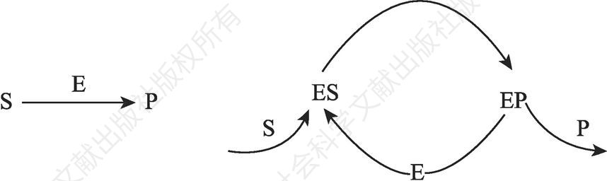 图2-7 反应循环