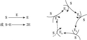 图2-8 催化循环