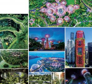 图10-3 新加坡花园城市建设（一）