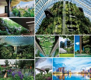 图10-3 新加坡花园城市建设（二）