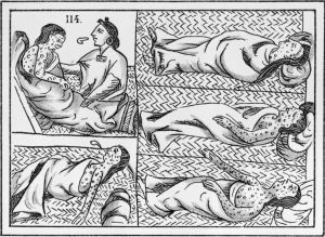 16世纪的阿兹特克天花患者。摘自西班牙《新西班牙事物的历史》（Historia De Las Cosas de Nueva Espana），第四册，第12卷，Lam.cliii，板114。（哈佛大学皮博迪考古与人种学博物馆，2004.24.29636 PM）