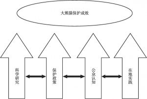 图2 大熊猫保护的四项驱动力