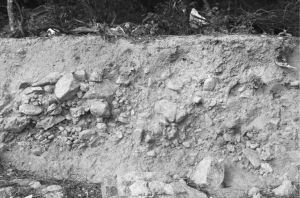图6 2016年发掘区以东断壁典型碎石层（作者摄）