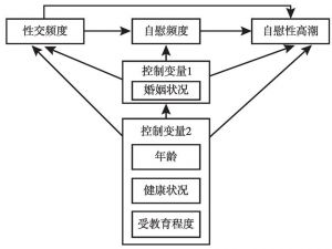图4-1 分析框架